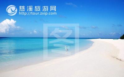 【白云旅游】上海东方明珠、长风海洋世界、杜莎夫人蜡像馆、外滩二日游