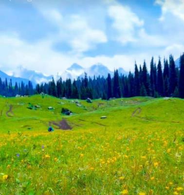 大湾区+汕尾海上香格里拉金町湾+潮汕+巽寮湾8天5晚游